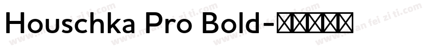 Houschka Pro Bold字体转换